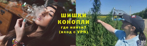 ПСИЛОЦИБИНОВЫЕ ГРИБЫ Алексеевка