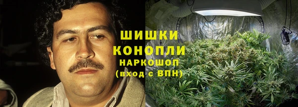 ПСИЛОЦИБИНОВЫЕ ГРИБЫ Алексеевка