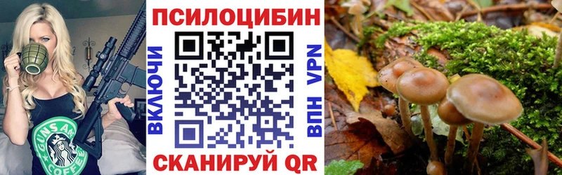 Псилоцибиновые грибы прущие грибы  Нижние Серги 